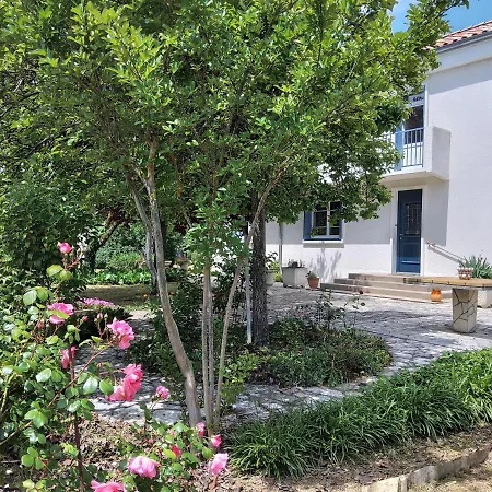 Maison Lumineuse Entre Toulouse Et Albi *