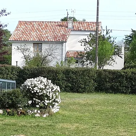 Maison Lumineuse Entre Toulouse Et Albi فيلة Coufouleux